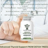 Detox Trees Thyroid Health Formula, ingredientes marinos y herbales, nutrientes para el día.