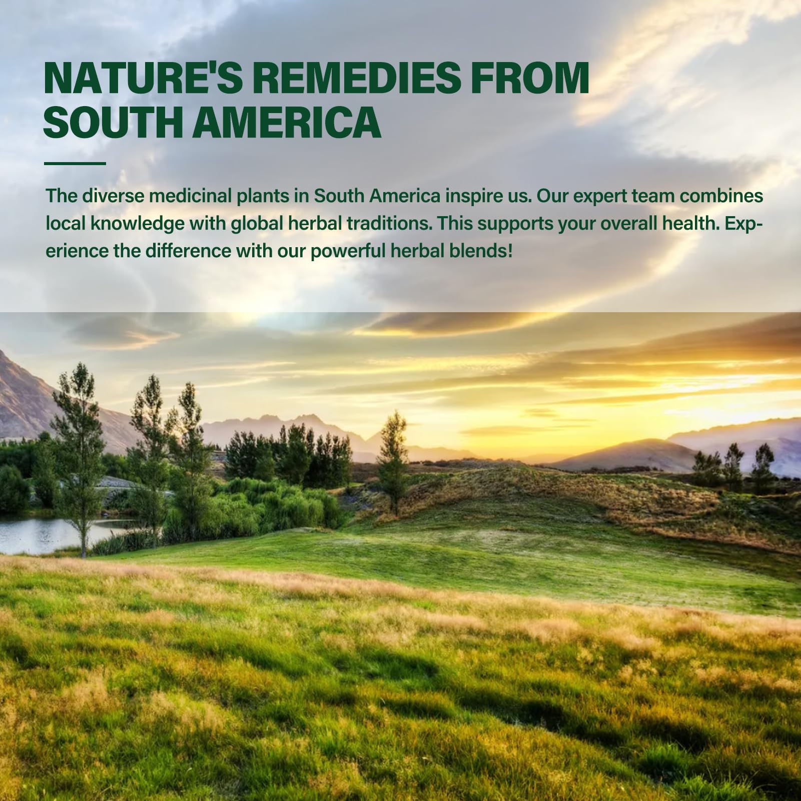 DetoxenNATURE Sauco-Reishi: impulso inmunitario para días activos
