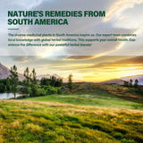 DetoxenNATURE Sauco-Reishi: impulso inmunitario para días activos