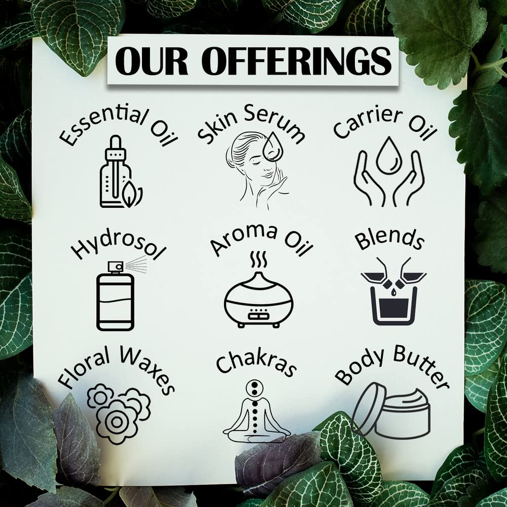 Aroma suave de anis en aromaterapia con Deve Herbes Aceite Esencial