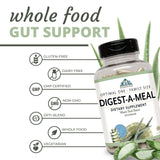 Digest-A-Meal: ilustración del sistema digestivo que ilustra la absorción.