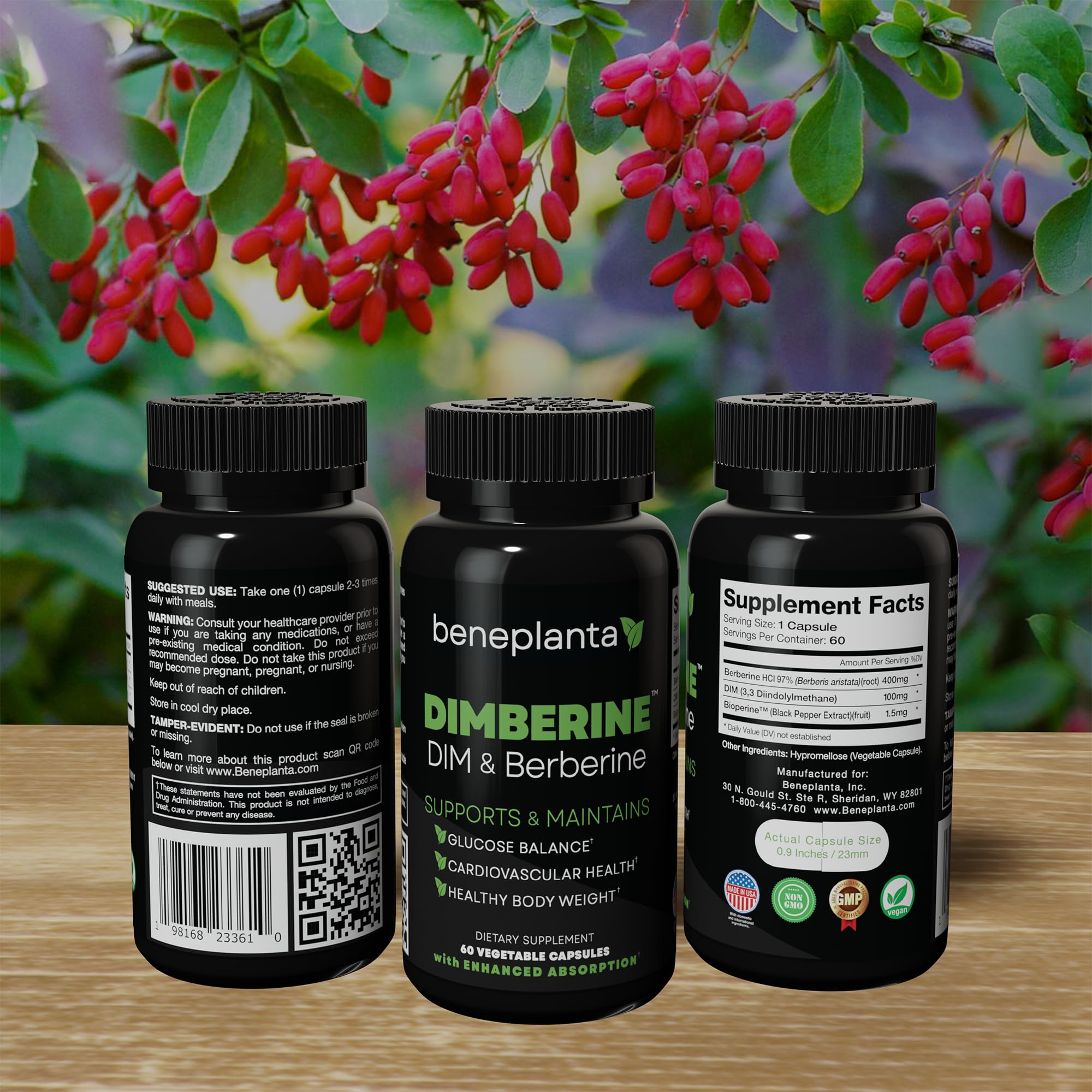 Dimberine: ingredientes clave de alta pureza para DIM y berberina.