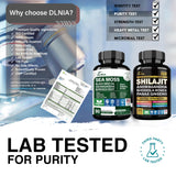 DLNIA aceite de jengibre y semilla negra: cápsulas nutritivas
