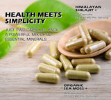 DLNIA panax ginseng 1500mg: cápsulas para vitalidad diaria