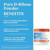 Polvo de Doctor's Best D-Ribose en la palma, uso diario.