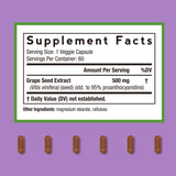 Cápsulas veganas de Doctor's Recipes, 500 mg, para bienestar diario.