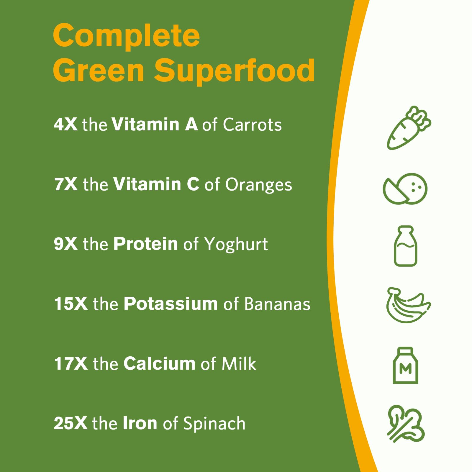 Hojas de moringa de India, cultivo ético y sostenible para tu rutina.
