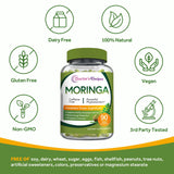 Doctor's Recipes Moringa: mezcla verde para batidos y bebidas saludables.