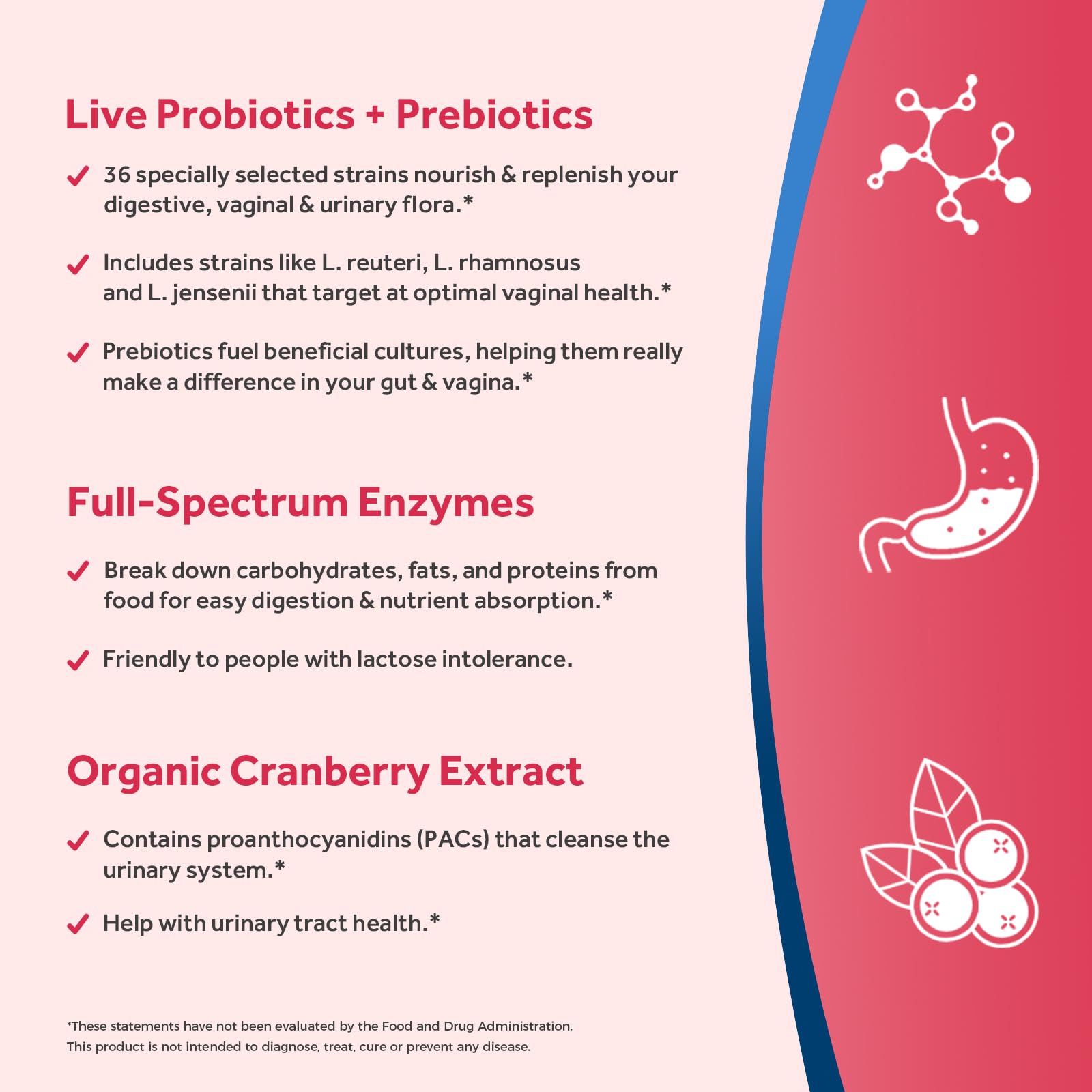 Doctor's Recipes Probióticos cepas 36: diversidad para microbiota.