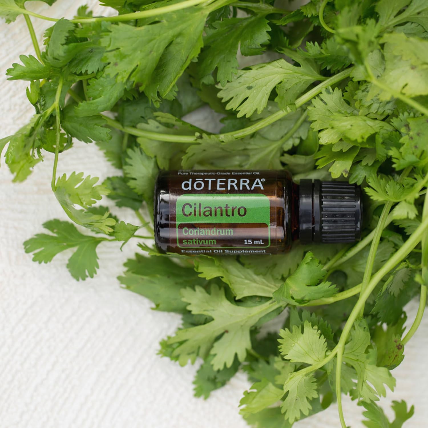 doTERRA Cilantro aplicación tópica: sensación suave y refrescante en la piel.