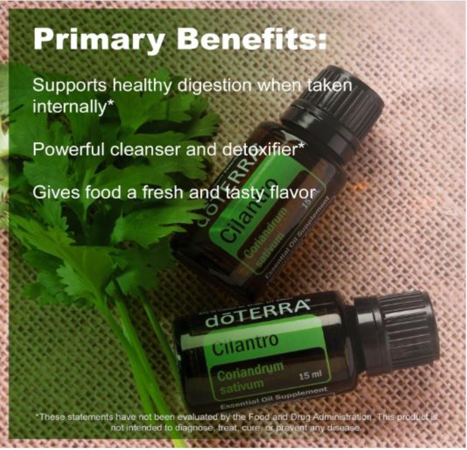 doTERRA Cilantro aroma herbal: difusor para ambientar espacios con frescura.