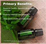 doTERRA Cilantro aroma herbal: difusor para ambientar espacios con frescura.
