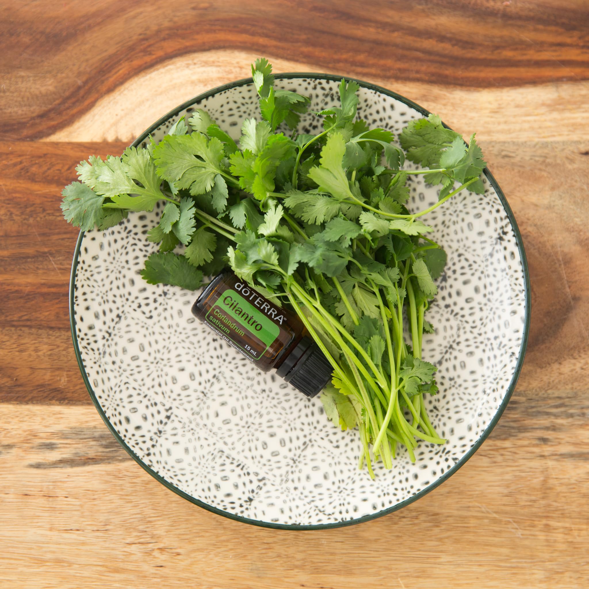 doTERRA Cilantro difusor ambiental: aroma herbal para momentos de relajación.