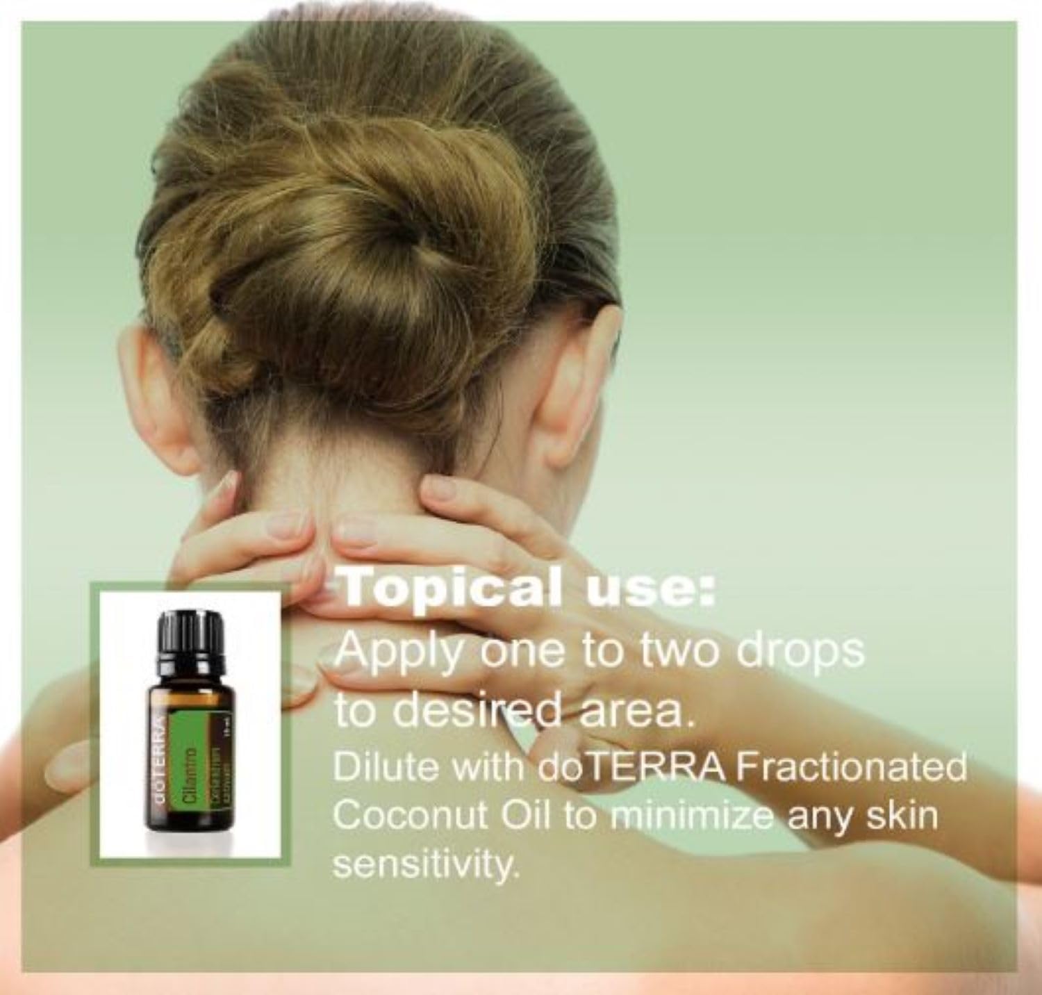 doTERRA Cilantro ensalada hierbas: añade aroma fresco a platos.