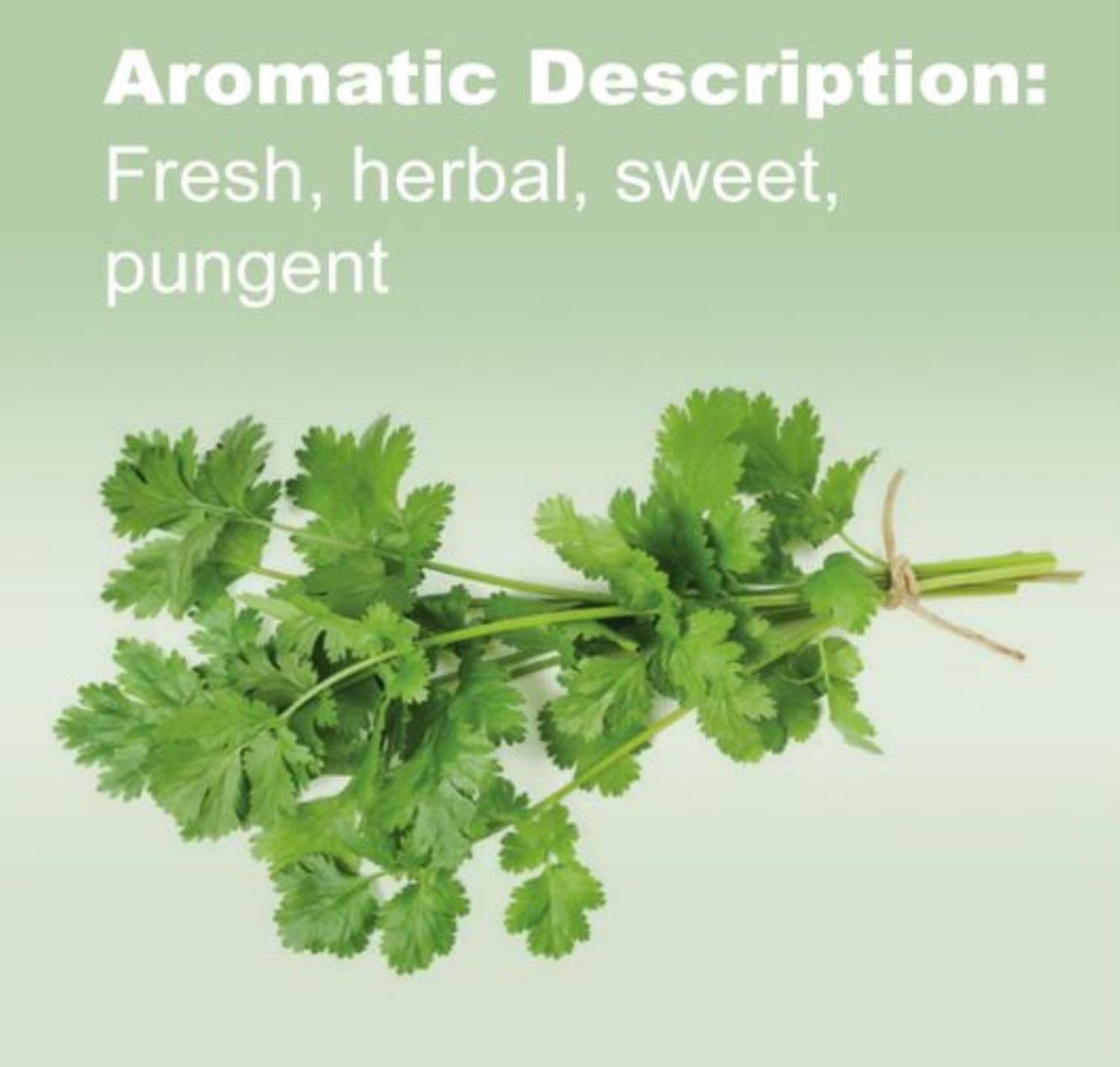 doTERRA Cilantro uso en cocina: realza sabor en ensaladas y guacamole.