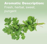 doTERRA Cilantro uso en cocina: realza sabor en ensaladas y guacamole.