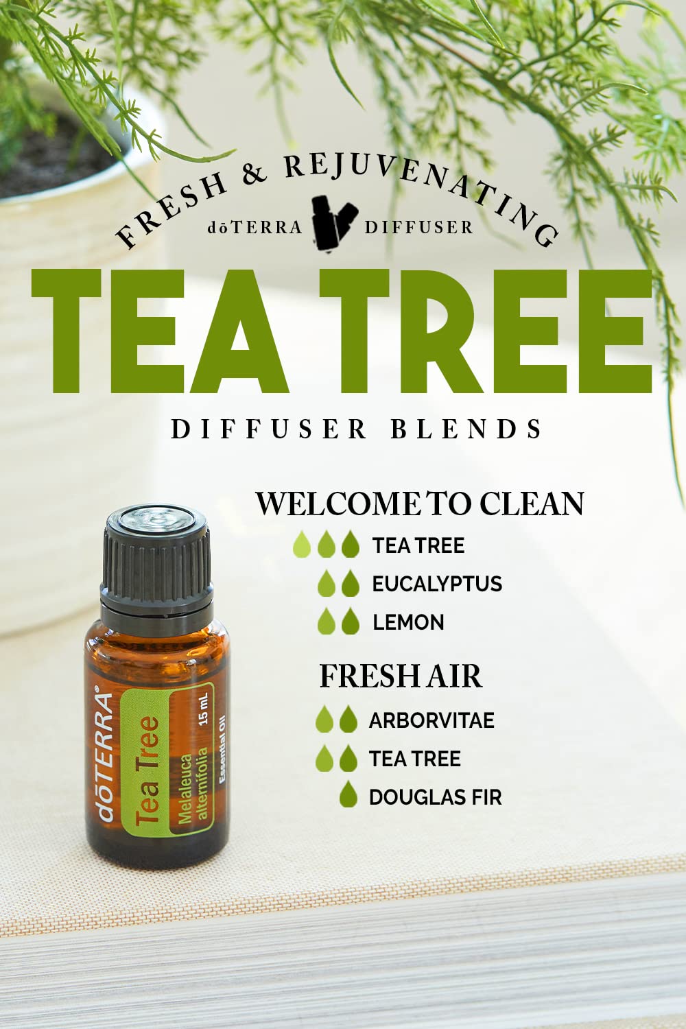 doTERRA Melaleuca aroma herbáceo, verde y leñoso.