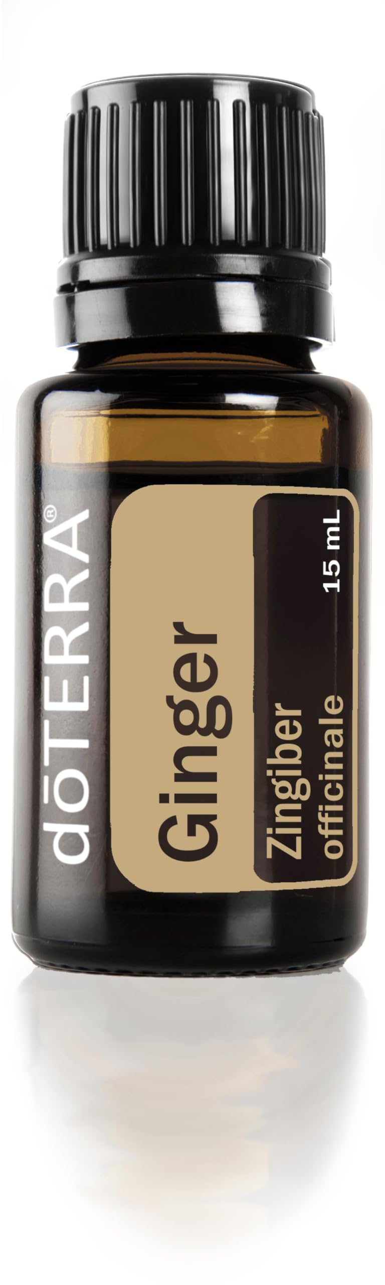 doTERRA Ginger: botella de aceite, realza sabores y apoya la digestión