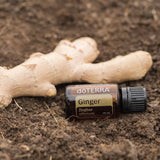 doTERRA Ginger: uso digestivo para apoyar el confort estomacal