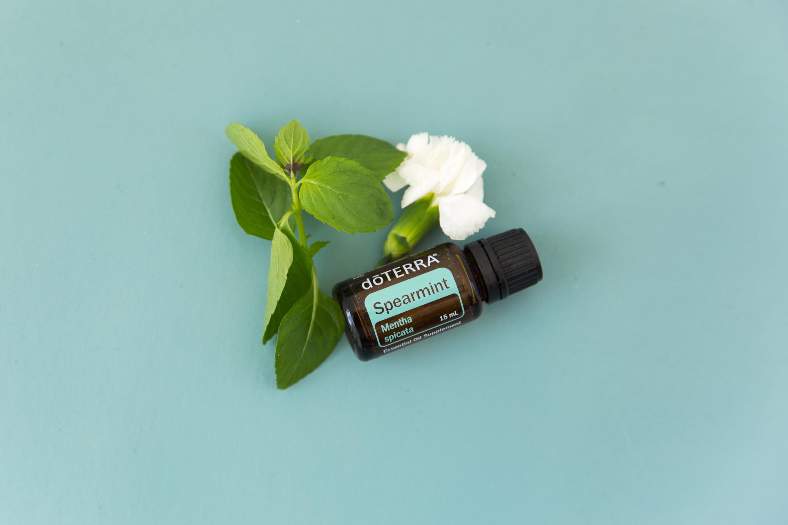 doTERRA Menta Verde aceite esencial, difusor para ánimo y claridad