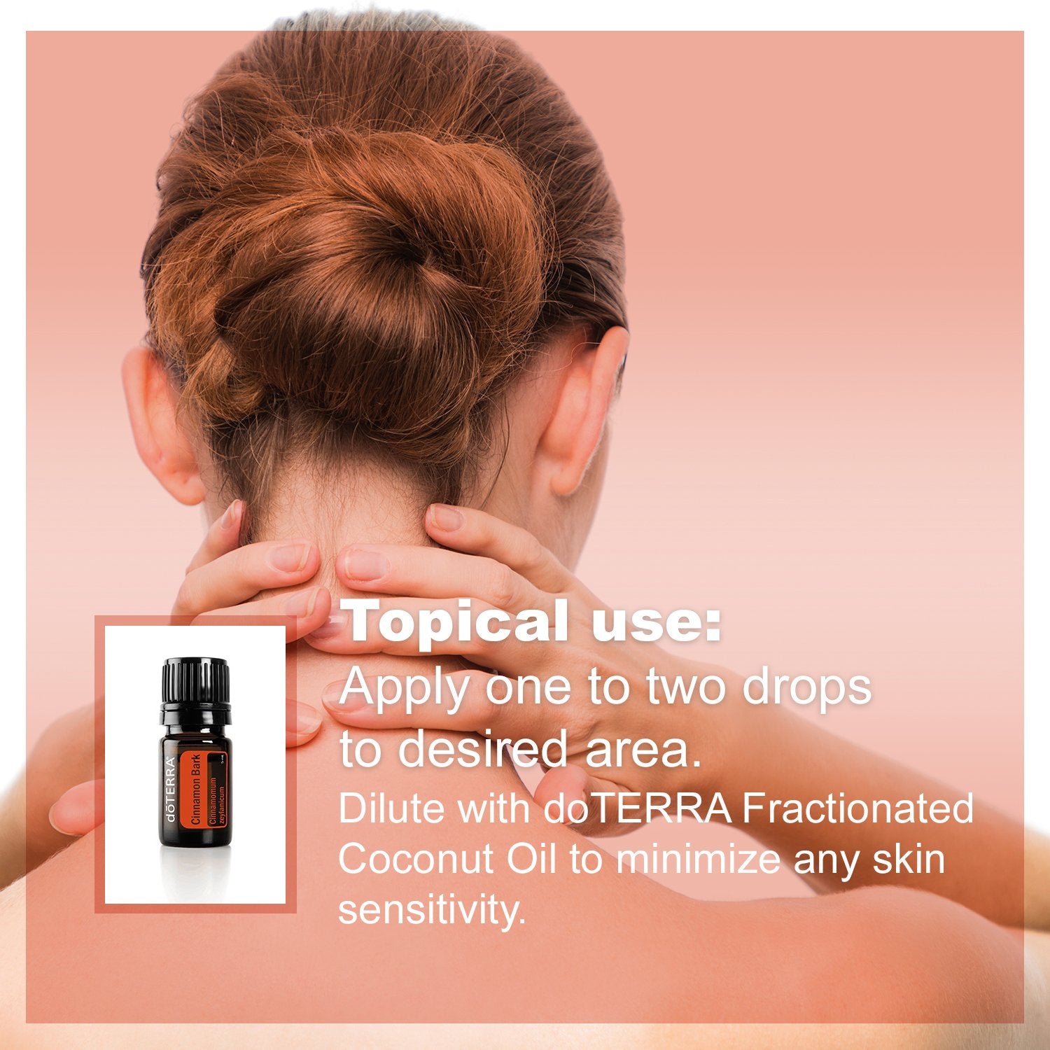doTERRA canela infusiones y tés con sabor y aroma