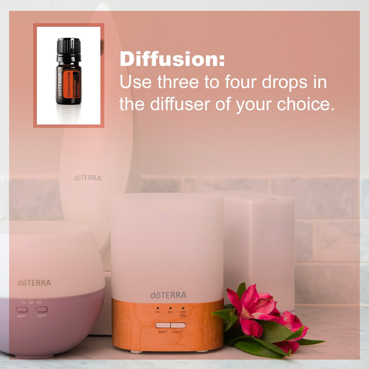 doTERRA canela sabor en platos dulces y salados