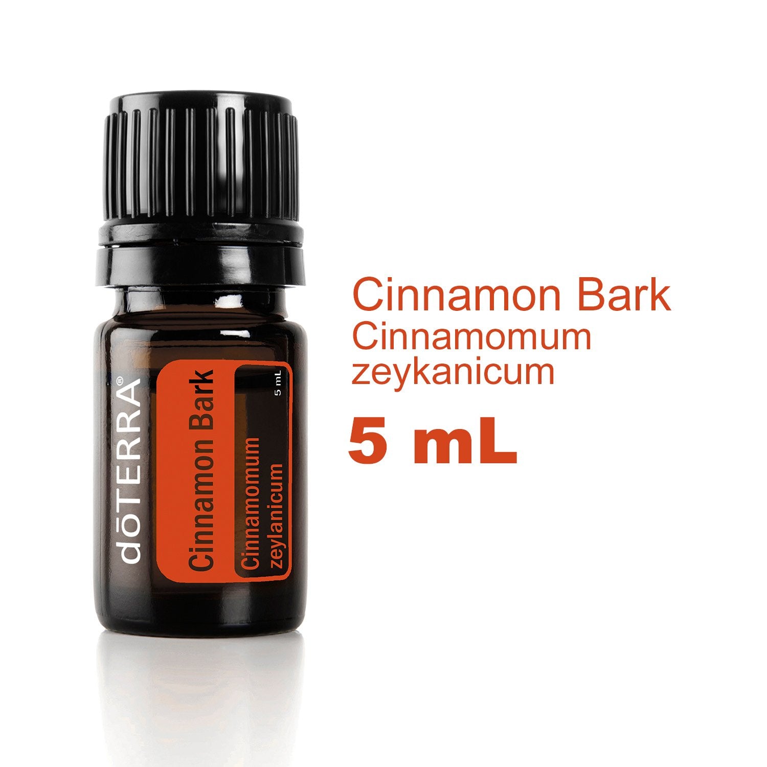 doTERRA canela aroma en la cocina para realzar sabores