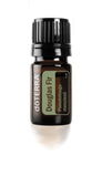 doTERRA Douglas Fir, botella de 5 ml, aroma fresco para perfumar el aire y elevar el ánimo