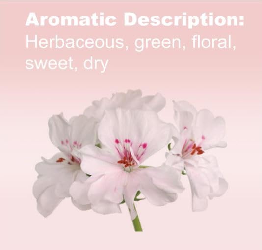doTERRA Geranium: aroma floral suave para relajación y bienestar diario.