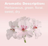 doTERRA Geranium: aroma floral suave para relajación y bienestar diario.