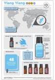 doTERRA Ylang Ylang: baño relajante con sales de Epsom para relajar cuerpo.