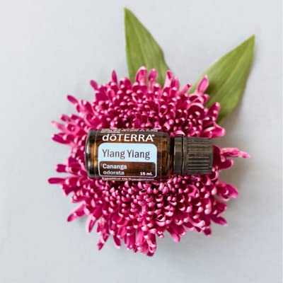doTERRA Ylang Ylang: vapor facial aromaterapia para revitalizar la piel.