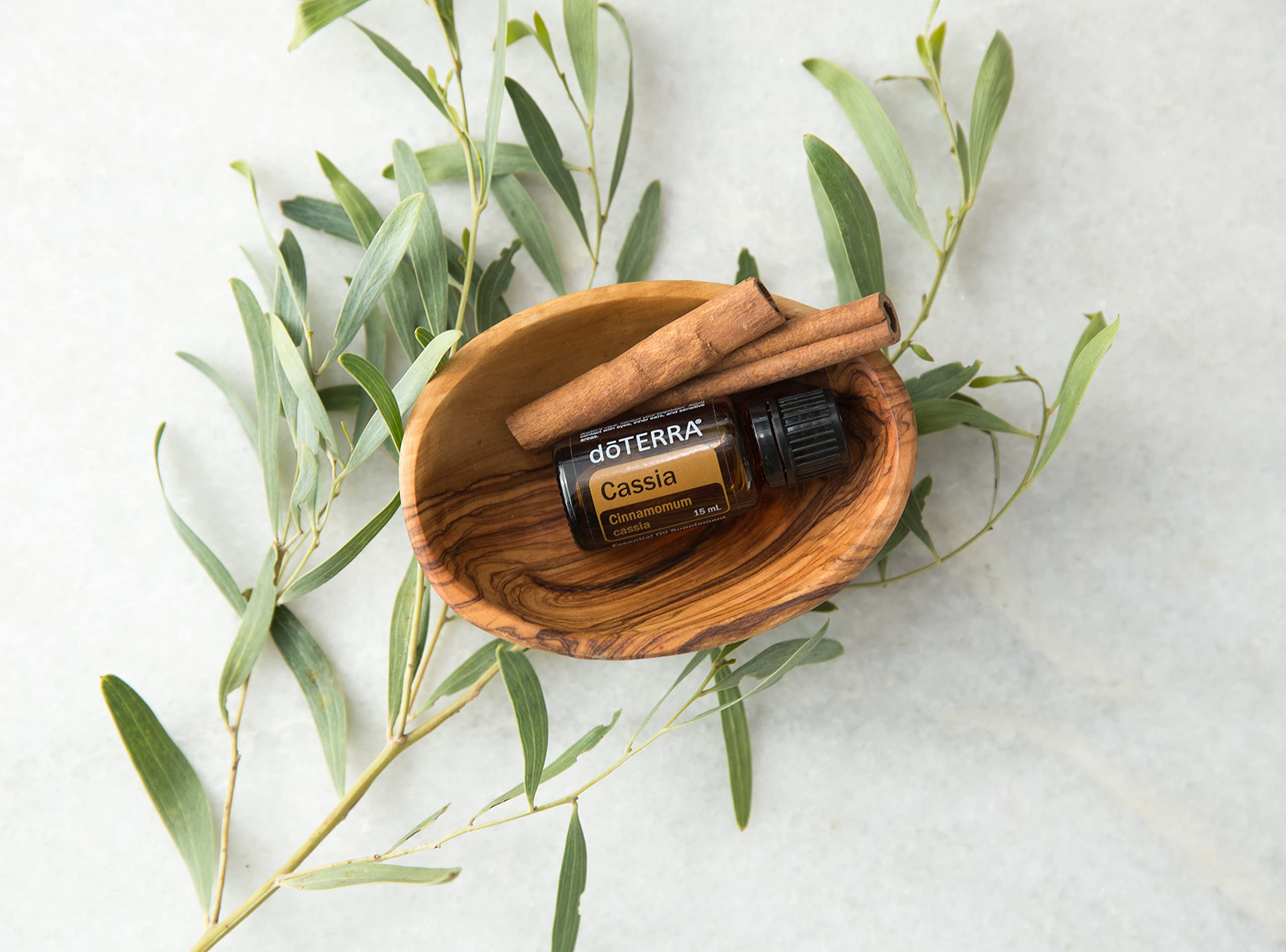 DoTERRA Cassia: ideal para mezclas aromáticas y bienestar diario.
