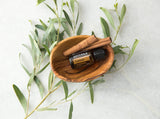 DoTERRA Cassia: ideal para mezclas aromáticas y bienestar diario.