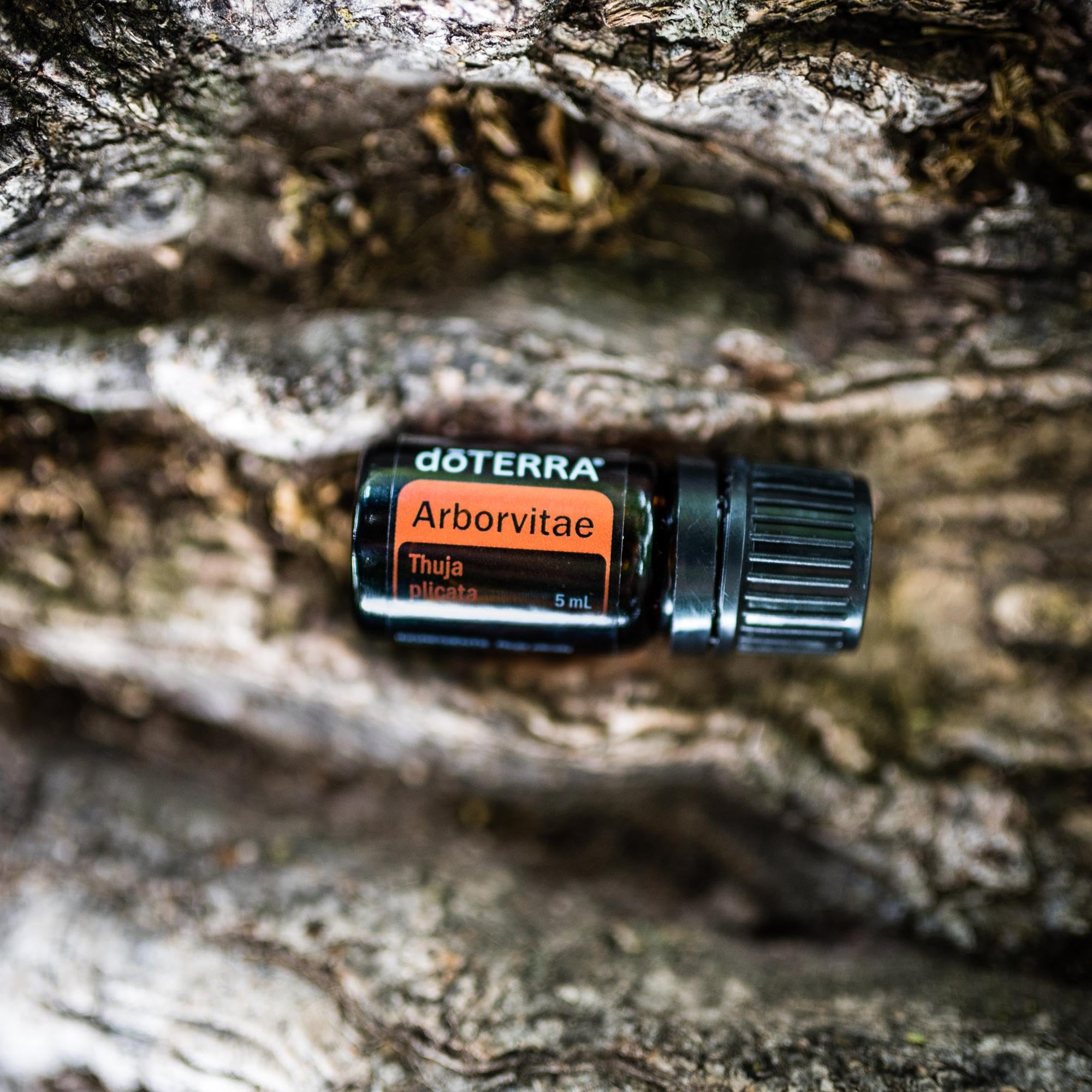 doTERRA Arborvitae, protección ambiental suave para superficies y espacios del hogar.