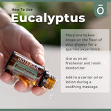 doTERRA Eucalipto Radiata, purifica el aire en casa con aroma fresco.