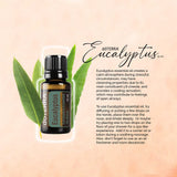 doTERRA Eucalipto Radiata, añade una gota a tu crema para piel revitalizada.