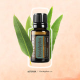 doTERRA Eucalipto Radiata, duchas rápidas con inhalación para revitalizar.