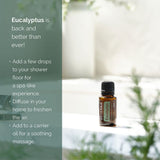 doTERRA Eucalipto Radiata, masaje suave para relajación muscular.