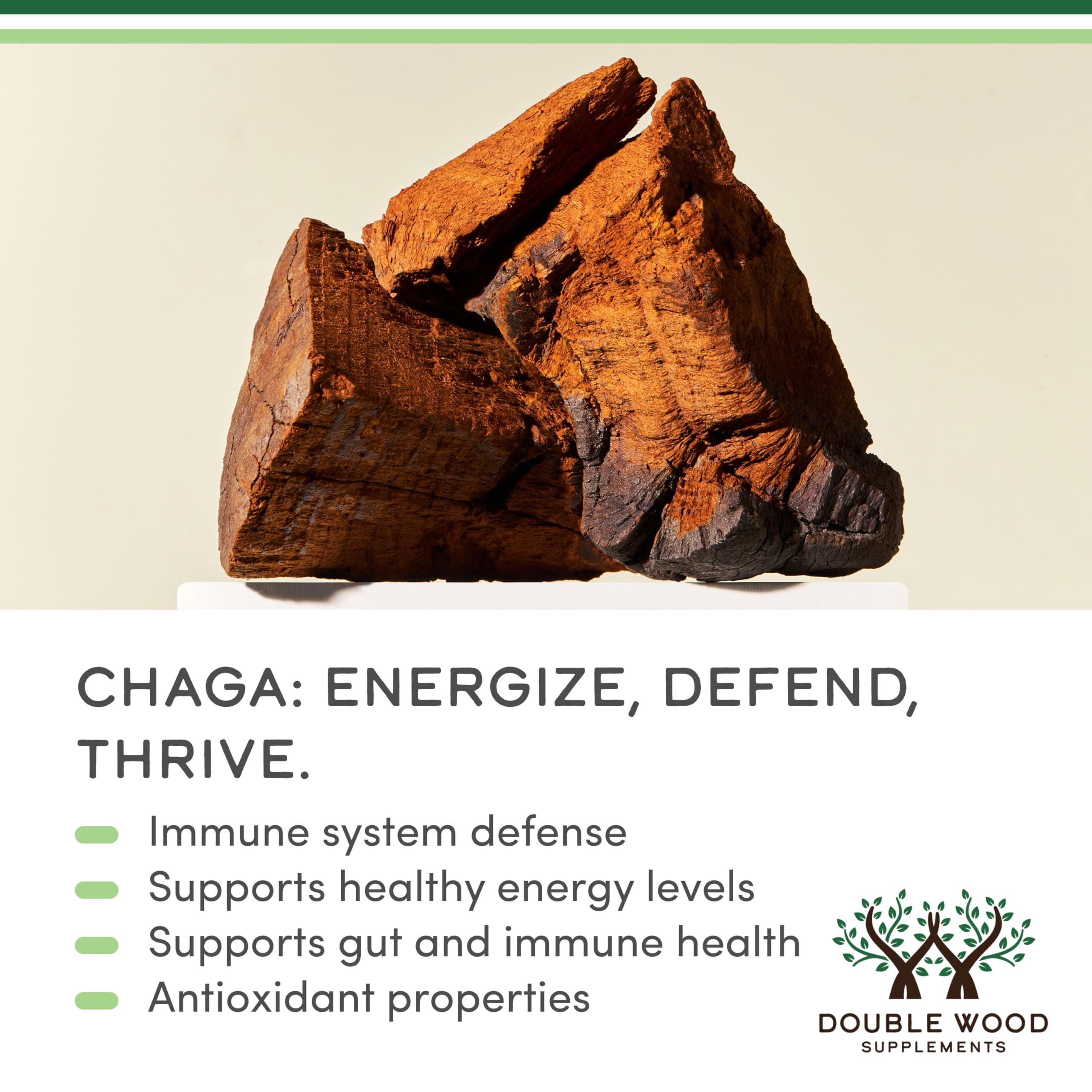 Chaga en polvo de Double Wood: textura suave y calidad percibida.