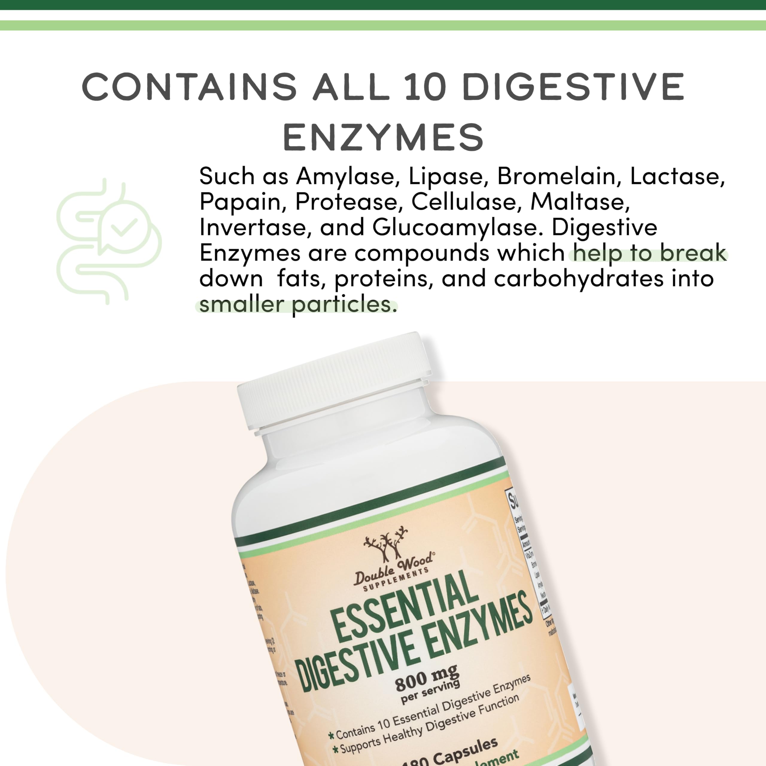 Uso diario de Double Wood Enzimas Digestivas 800 mg para comidas abundantes.