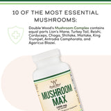 Double Wood Mushroom Complex: hongo seco resaltando ingredientes naturales.