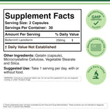 Double Wood Lactoferrin 250mg, etiqueta frontal, destaca pureza y consistencia del producto.