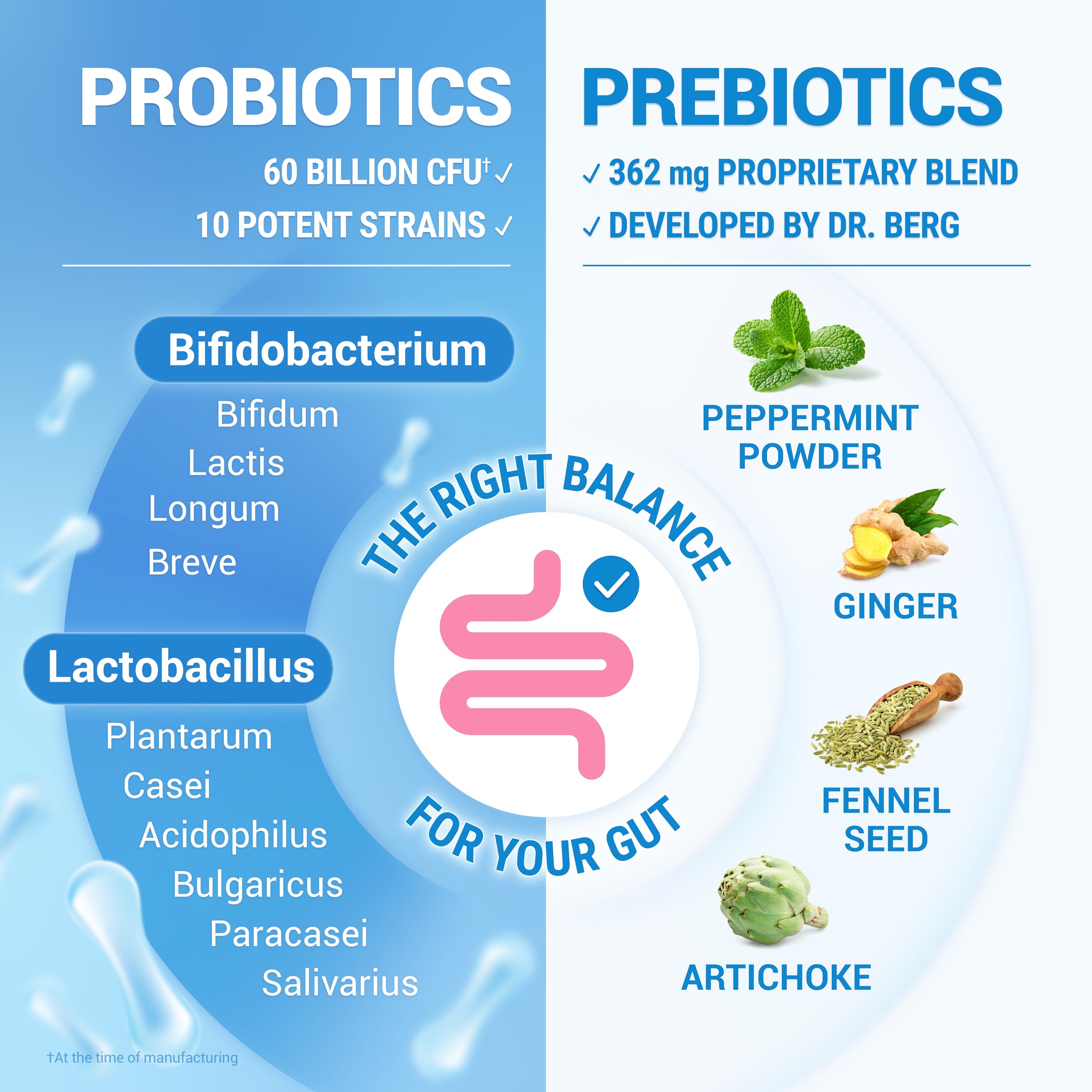 Dr. Berg Probiotic confort digestivo: menos malestar.