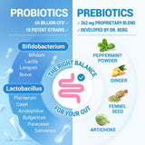 Dr. Berg Probiotic confort digestivo: menos malestar.