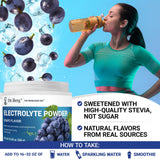 Dr. Berg Zero Sugar Hydration Powder disolución en agua lista para entrenar