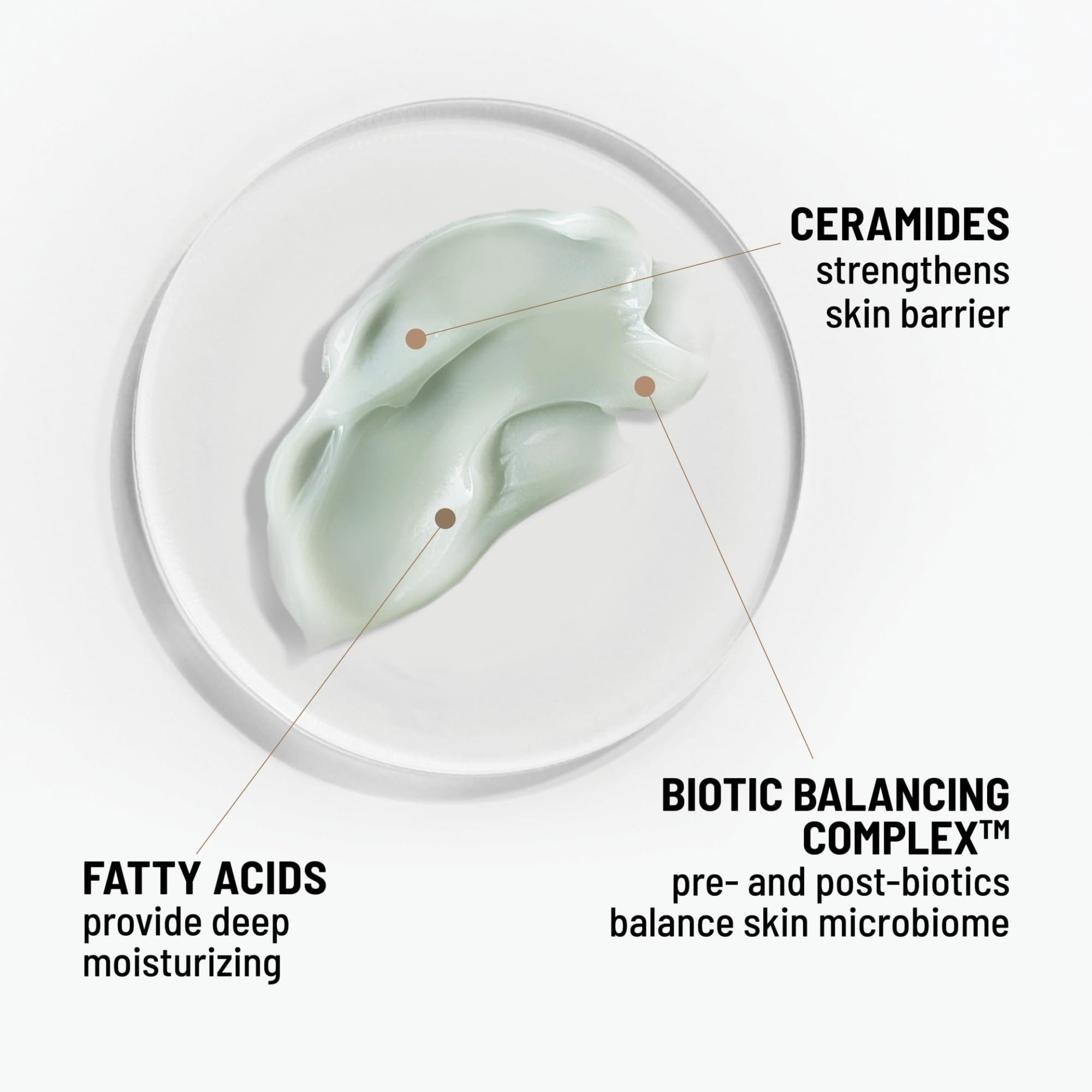 Ceramidas y barrera cutánea: Dr Brandt Hydro Biotic fortalece la piel