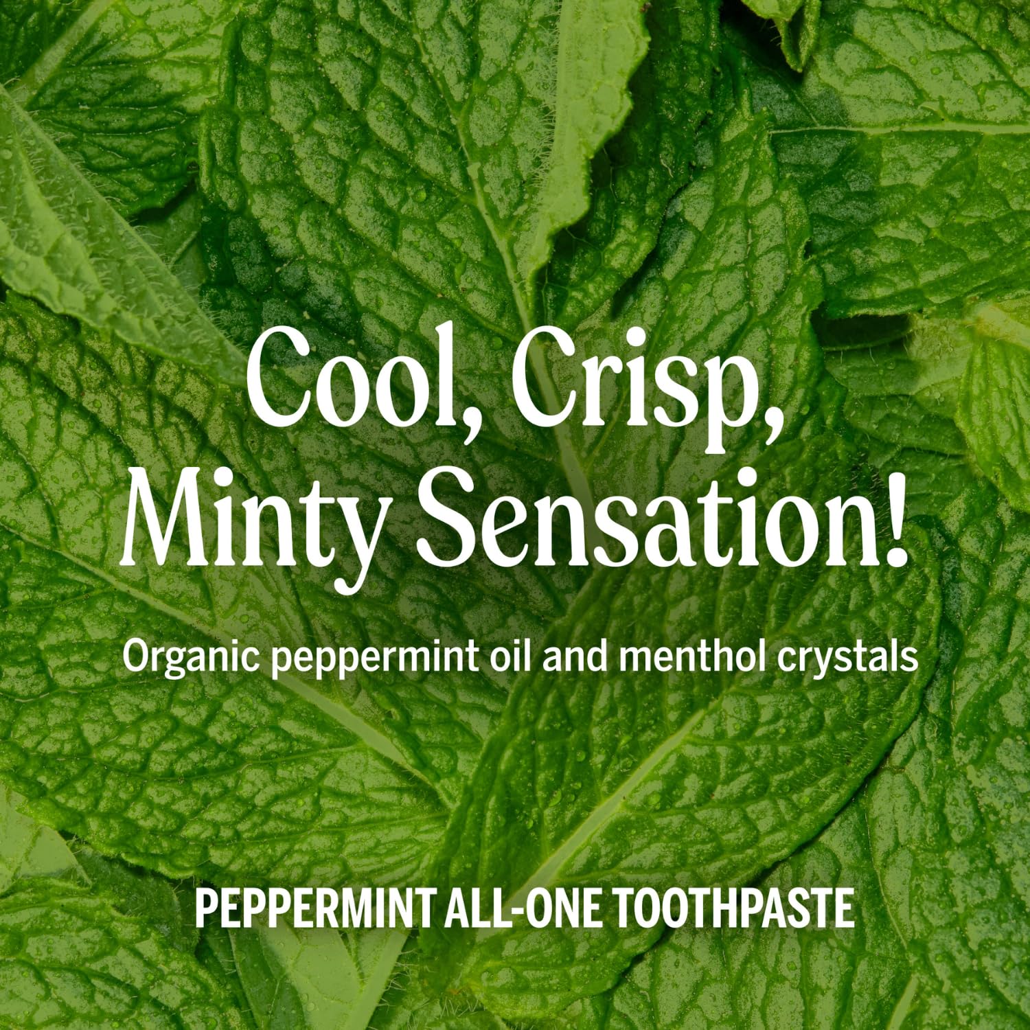 Dr. Bronner’s pasta dental mentolada, etiqueta orgánica transmite naturalidad.
