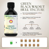 Dr Clark Store color verde natural sugiere extracción fresca.