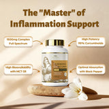 DR. CROWN ingredientes con jengibre y BioPerine para mejor absorción